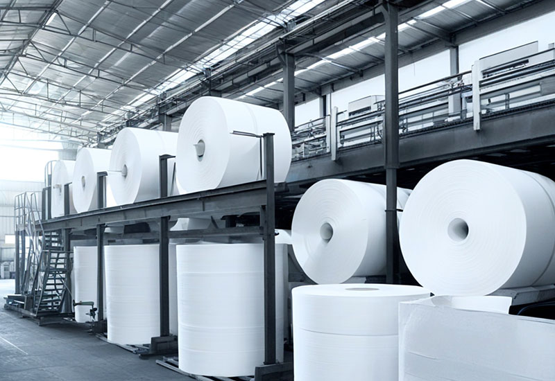 1725504895795923.jpg 造紙廠.jpg