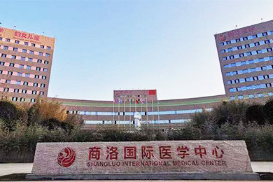 醫(yī)用氣體工程，醫(yī)用分子篩制氧系統(tǒng)